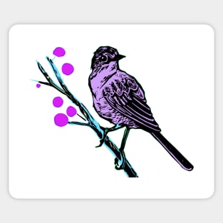 Little Pink Bird on a Branch Sticker